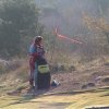 048_denise