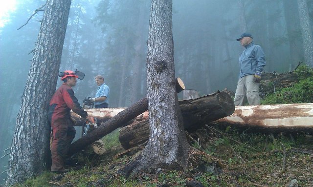 skt-ucyfojsf9uqjuyqdmqbjp5bius17nrapg4_trb0