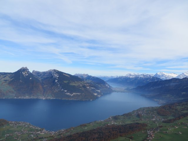 Wildfliegen