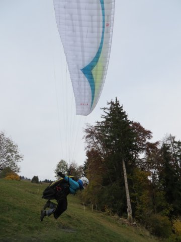 Wildfliegen