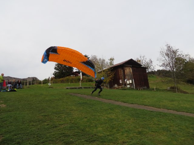 Wildfliegen